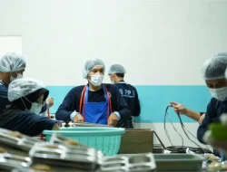 Ratusan Relawan Terdampak Penutupan Dapur MBG di Bulukumba