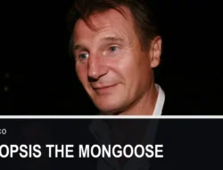 Sinopsis The Mongoose, Liam Neeson Jadi Buronan